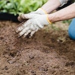 De strafste deals voor jouw tuin en terras