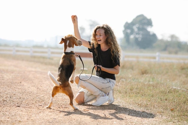 Vrouw met hond